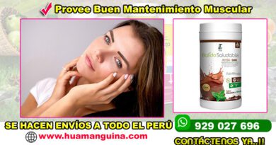 Batido Saludable de Chocolate & Menta - Frasco de 500g - Teoma