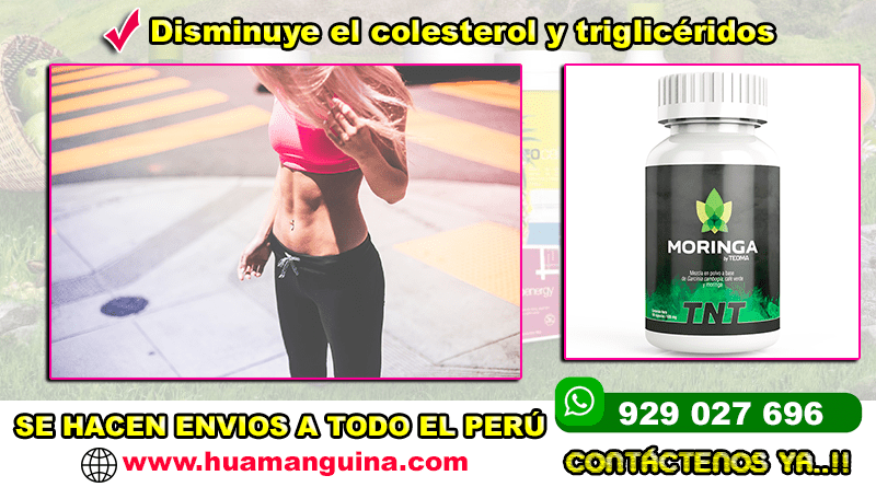 MORINGA TNT TEOMA FRASCO DE 100 CÁPSULAS