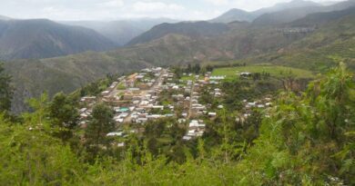 Canaria Fajardo Ayacucho Huamanguina