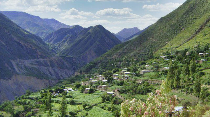 Morcolla Chico Fajardo Ayacucho Huamanguina