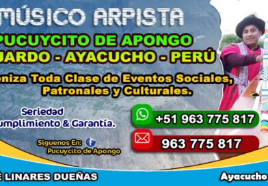 Pucuycito De Apongo Arpista Ayacucho 2021