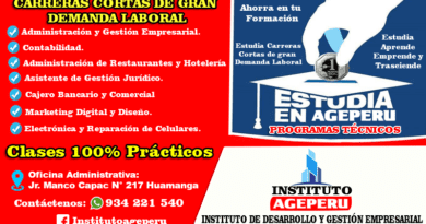 INSTITUTO AGEPERU INSTITUTO DE DESARROLLO Y GESTIÓN EMPRESARIAL