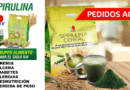 Spirulina Cereal DXN