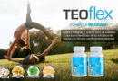 TeoFlex by Teoma