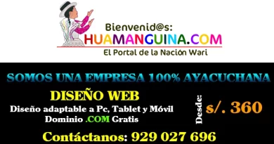 Pagina-Web-en-Ayacucho-Huamanguina