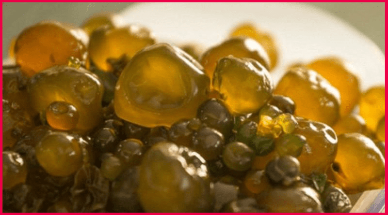 Conoce los beneficios nutritivos del cushuro