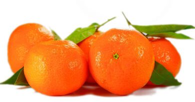 Fruta Naranja Ayacucho