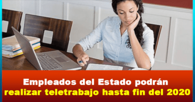 Empleados del Estado podrán realizar teletrabajo hasta fin del 2020