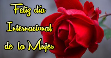 Las mejores frases para rogar el 8 de marzo Día de la Mujer Trabajadora.